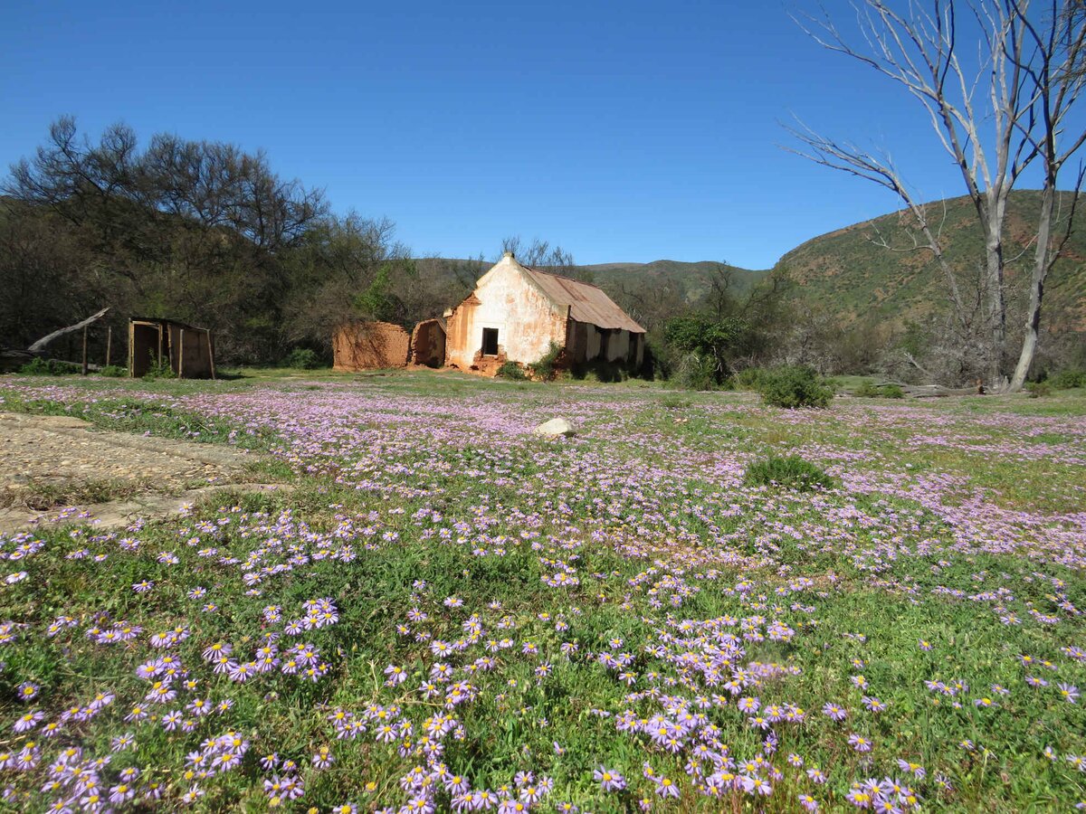 2. Overview / Oorsig