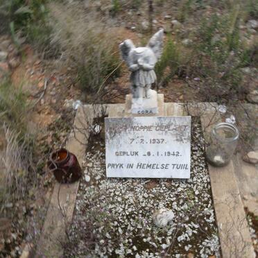 Eastern Cape, WILLOWMORE district, Baviaanskloof, Riet Rivier 205, Voorkloof, farm cemetery