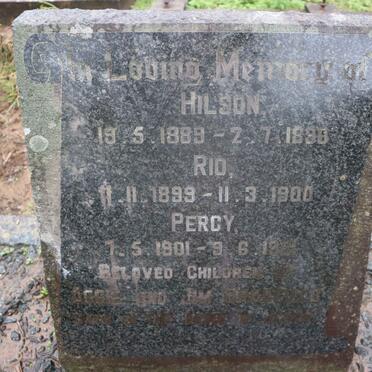 BRADFIELD Hilson 1889-1890 : BRADFIELD Rio 1899-1900 :: BRADFIELD Percy 1901-1901