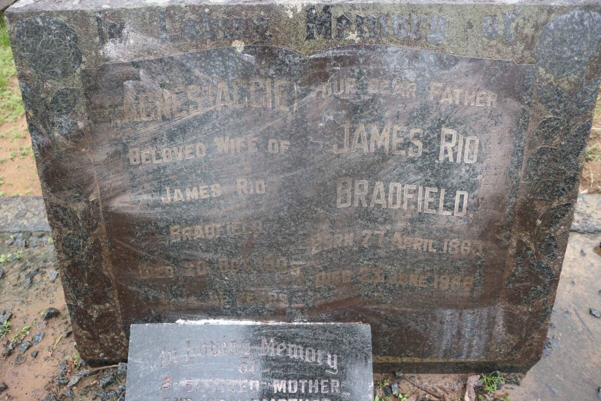 BRADFIELD James Rio 1863-1958 &amp;  Agnes -1908 :: VAN DER MEULEN Nora 1905-1978