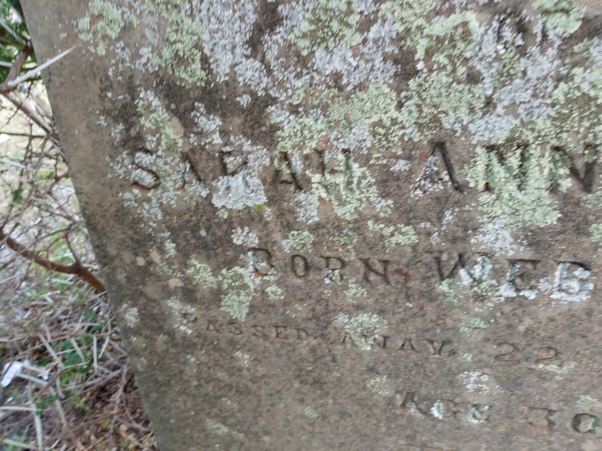 ARNOLD Sarah Ann nee WEBSTER -1889