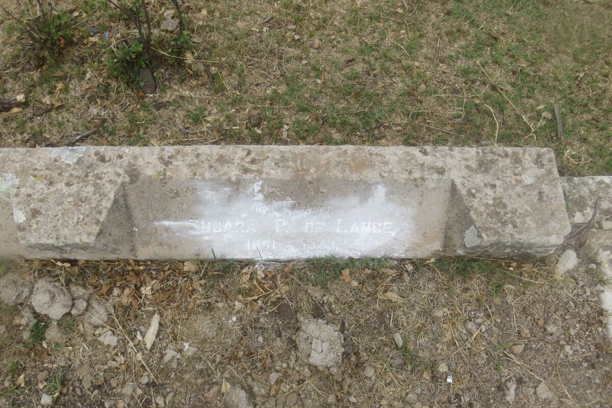 LANGE David R., de 1849-1930 &amp; Susara P. 1851-1943