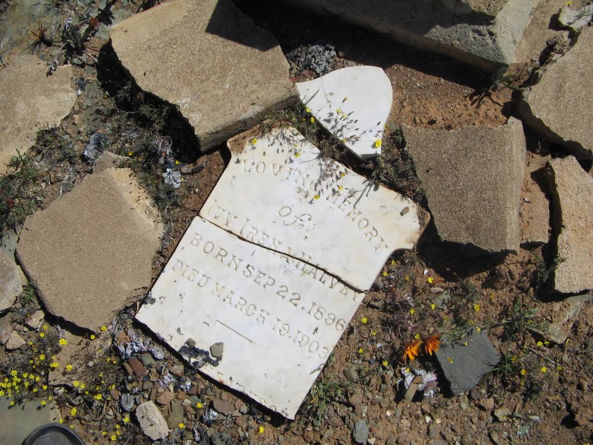 HALVEY Ivy Irena 1896-1903