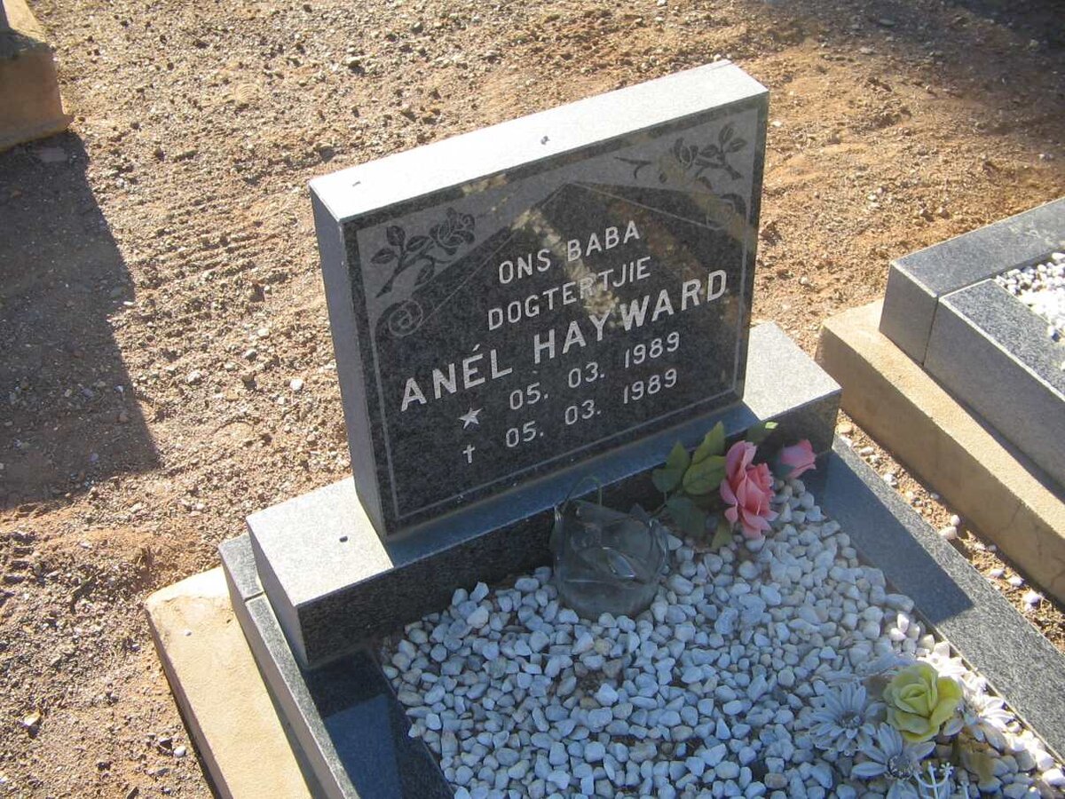HAYWARD Anel 1989-1989