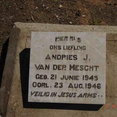 MESCHT Andries J., van der 1945-1946
