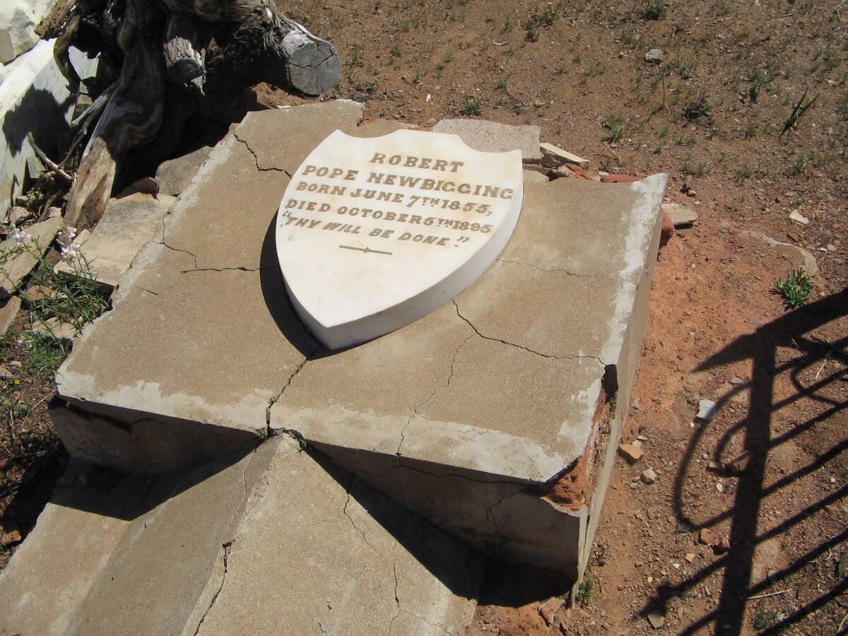 NEWBIGGING Robert Pope 1855-1895