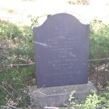 TROLLIP Alfred 181?-1872 &amp; Elizabeth 1820-1879 :: TROLLIP ? James ?
