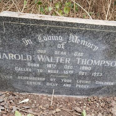 THOMPSON Harold Walter 1880-1923