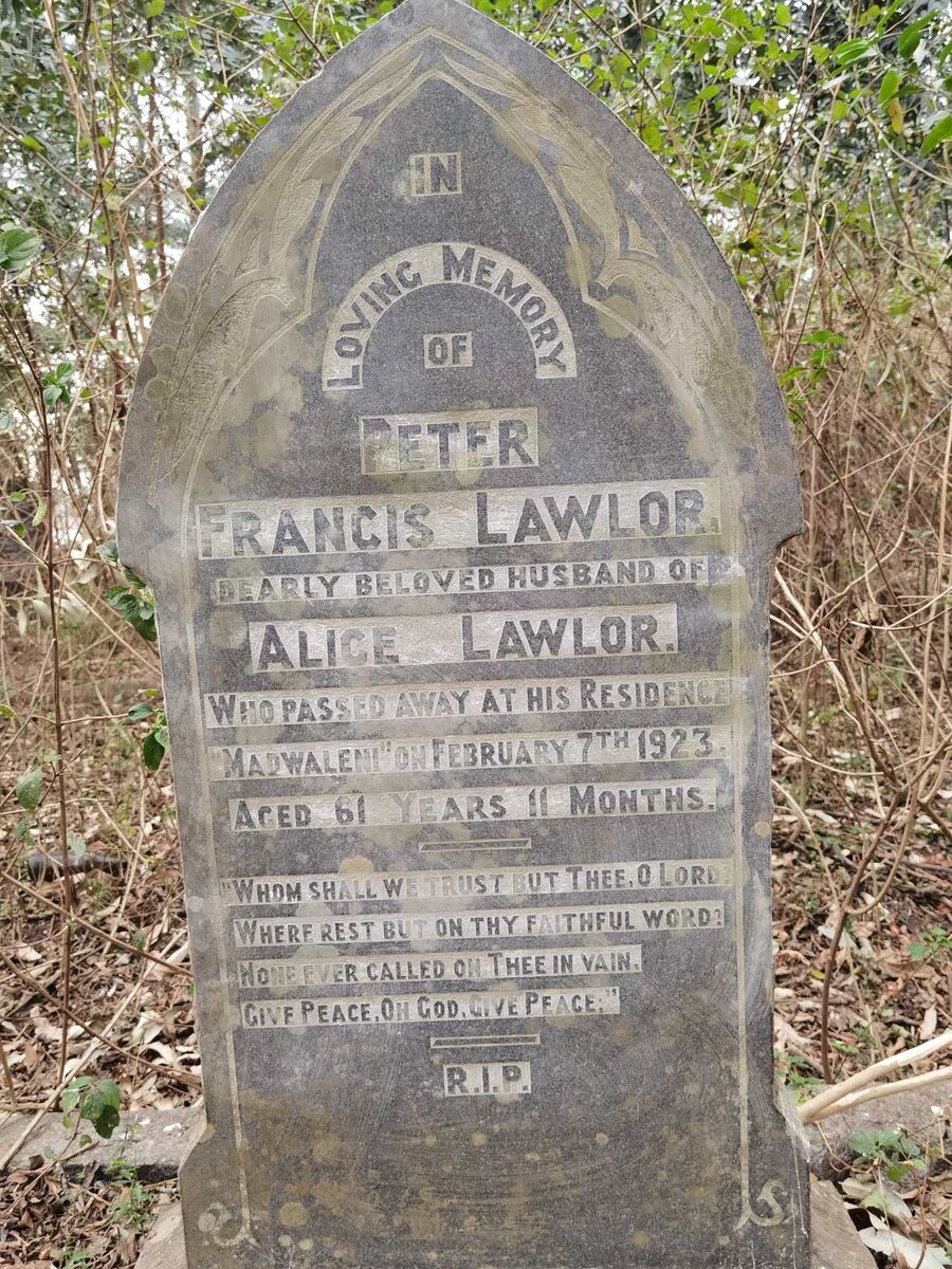 LAWLOR Peter Francis -1923