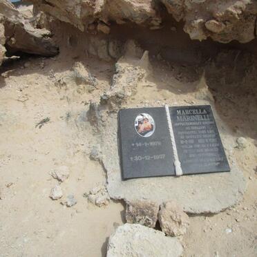 1. Overview / Oorsig