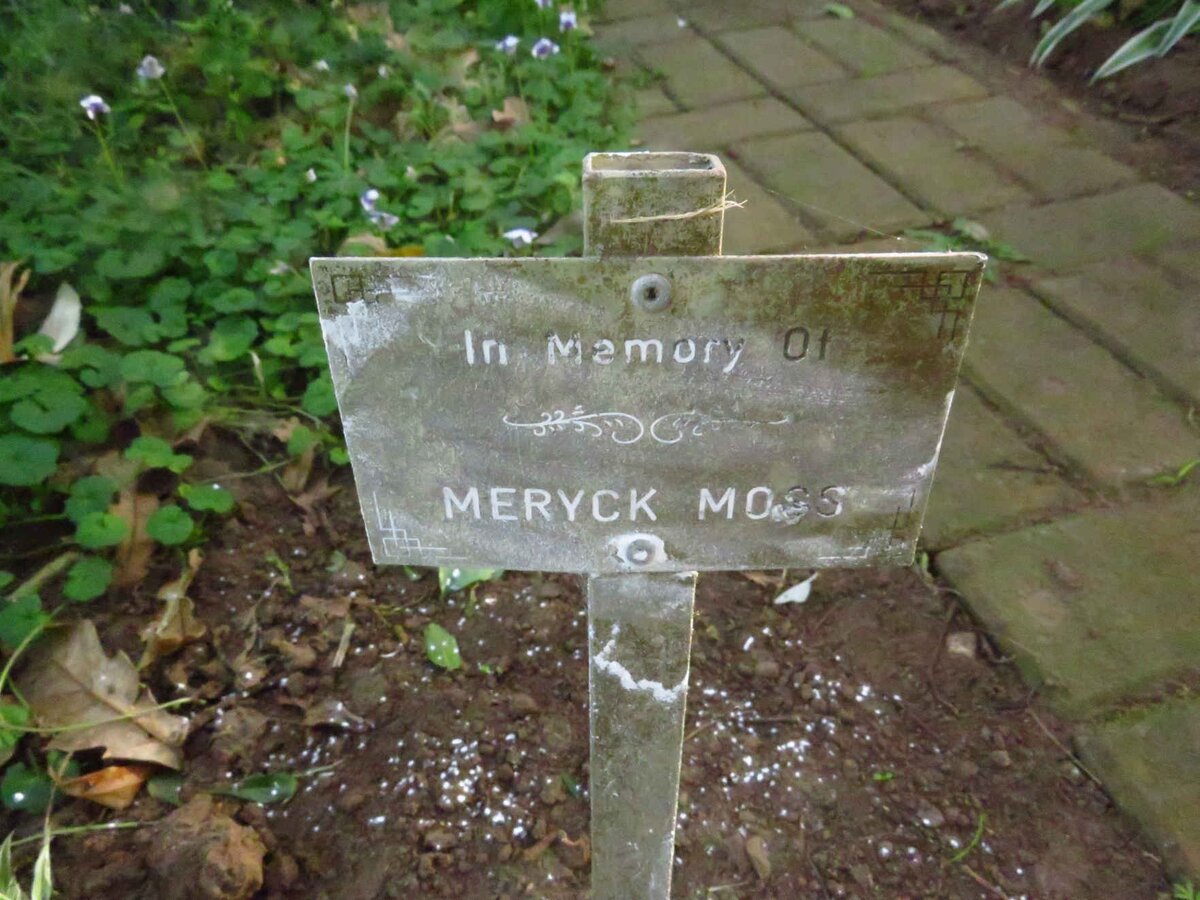 MOSS Meryck