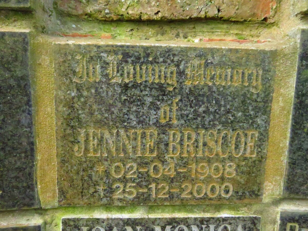 BRISCOE Jennie 1908-2000