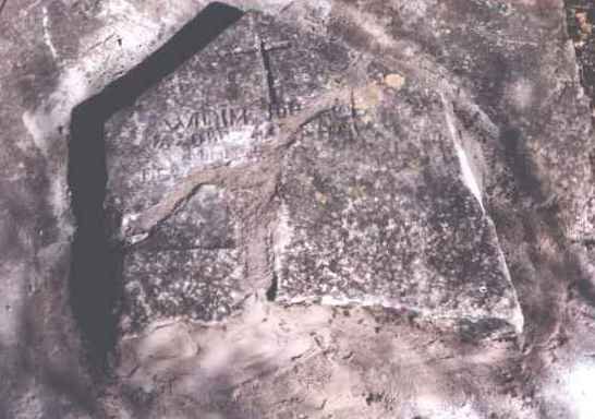 MYBURGH Willem Jac Joh Abraham 1821-1895_1