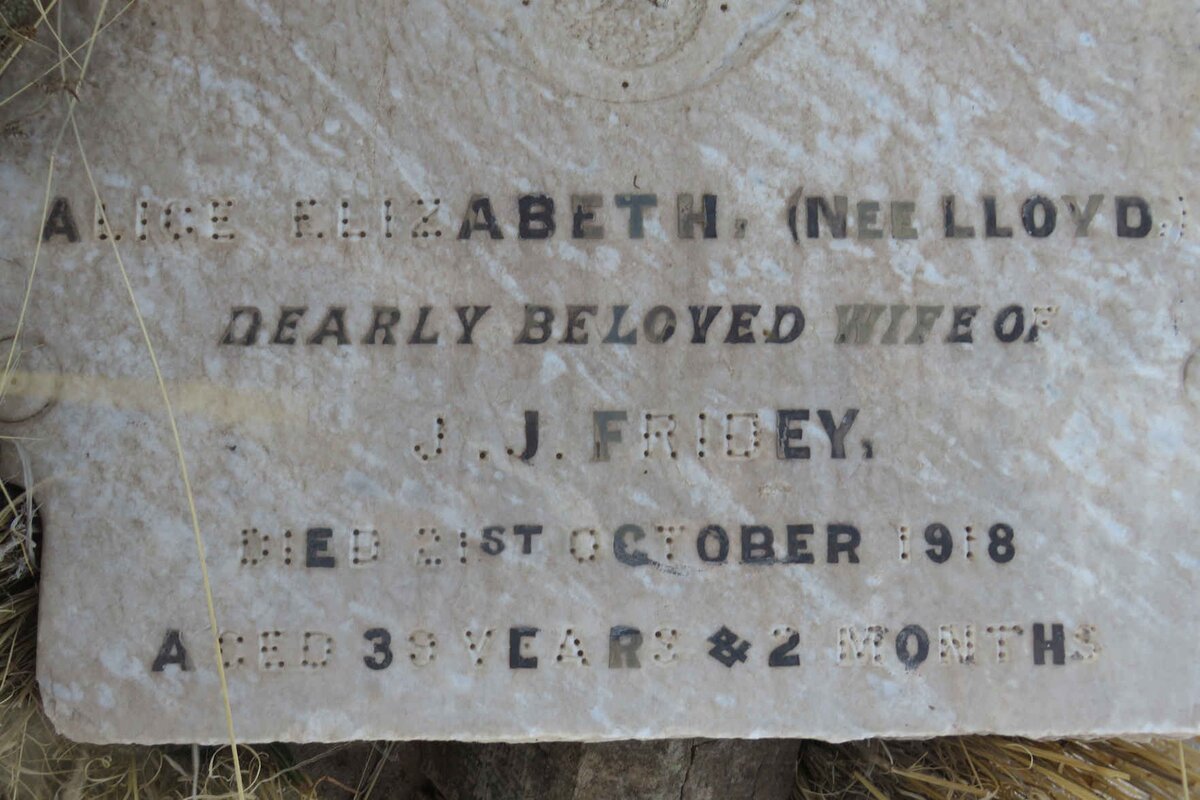 FRIDEY Alice Elizabeth nee LLOYD -1918