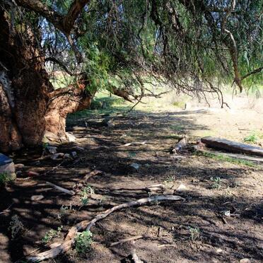 2. Overview / Oorsig