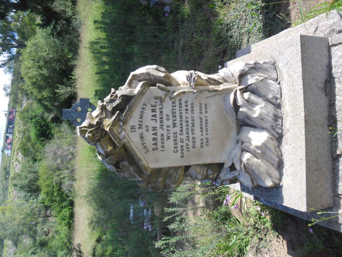 WEBSTER Sarah Jane nee JENKINS 1849-1900