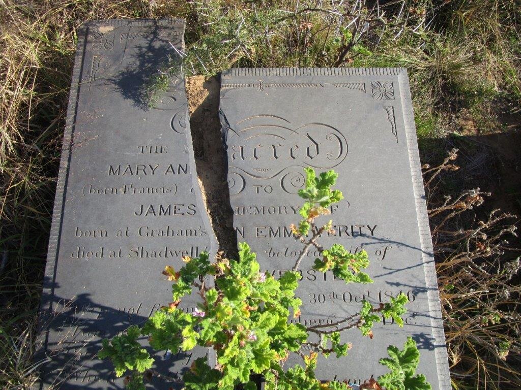 WEBSTER Mary Ann Emma Verity nee FRANCIS 1846-187?