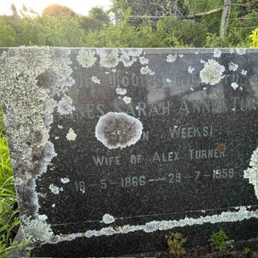 TURNER Agnes Sarah Annie nee WEEKS 1866-1959