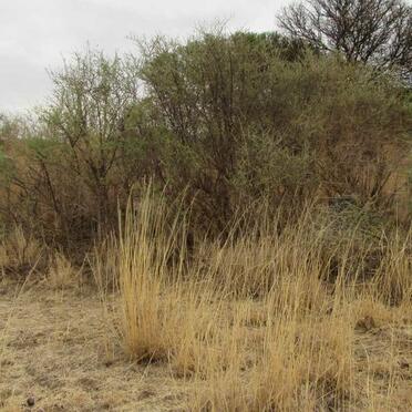 1. Overview / Oorsig