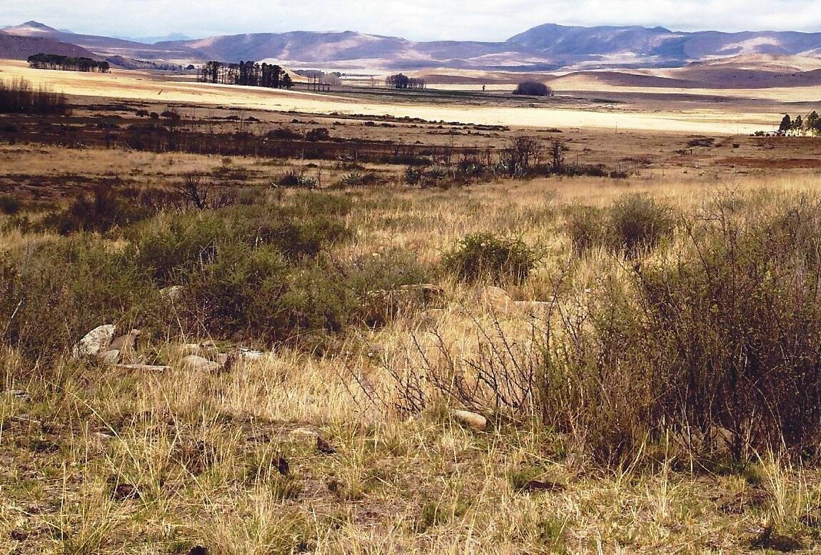 3. Oorsig / Overview