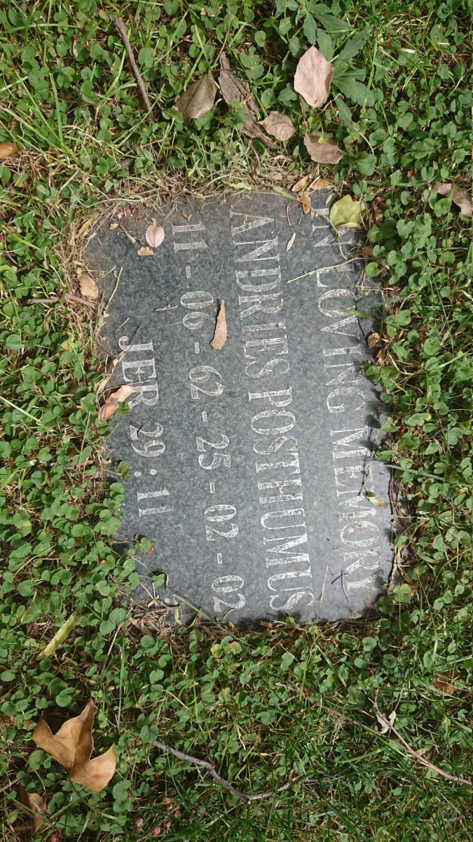 POSTHUMUS Andries 1962-2002