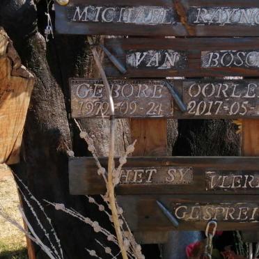 BOSCH Michael Rayno, van 1979-2017