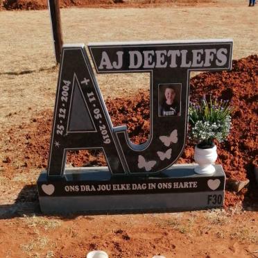 DEETLEFS A.J. 2004-2019