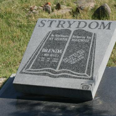 STRYDOM Brenda 1945-1998