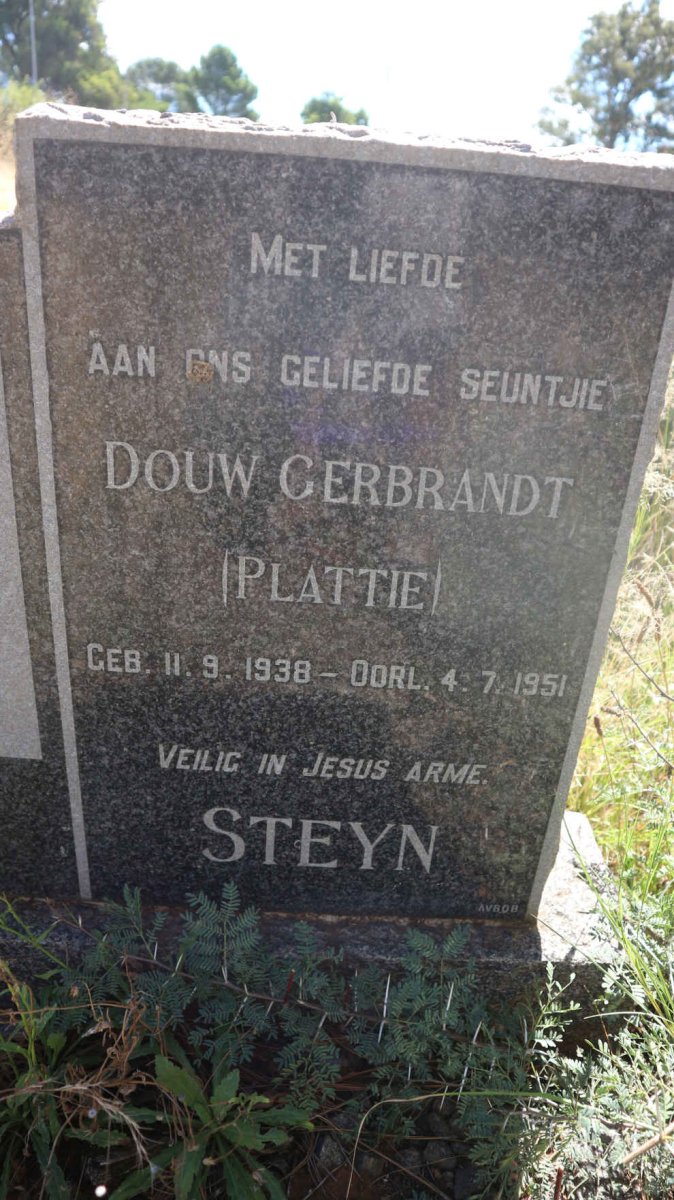 STEYN Douw Gerbrandt 1938-1951
