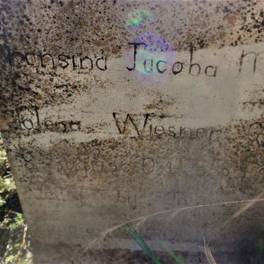 WIESNER Fransina Jacoba Magdalena 1950-19??