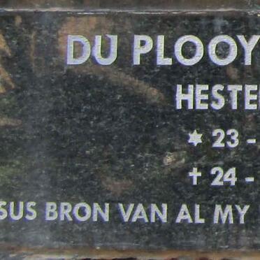 PLOOY Hester, du 1952-2013