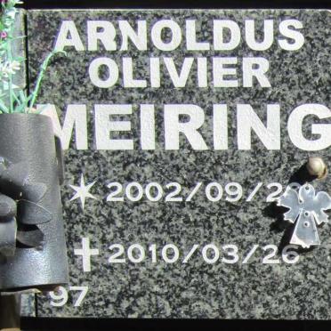 MEIRING Arnoldus Olivier 2002-2010