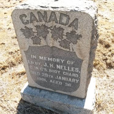 N - Vanne :: Surnames - N