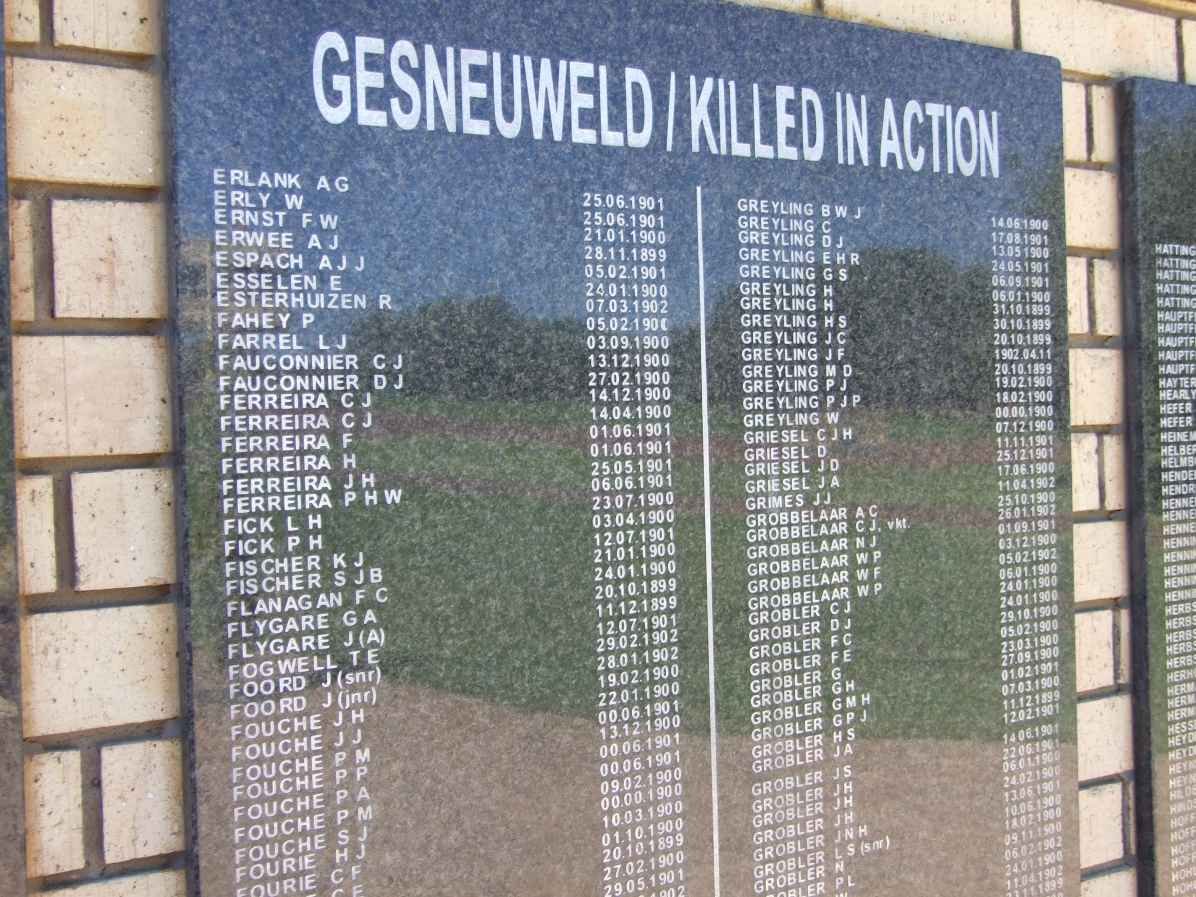 Killed in Action Panel_5a