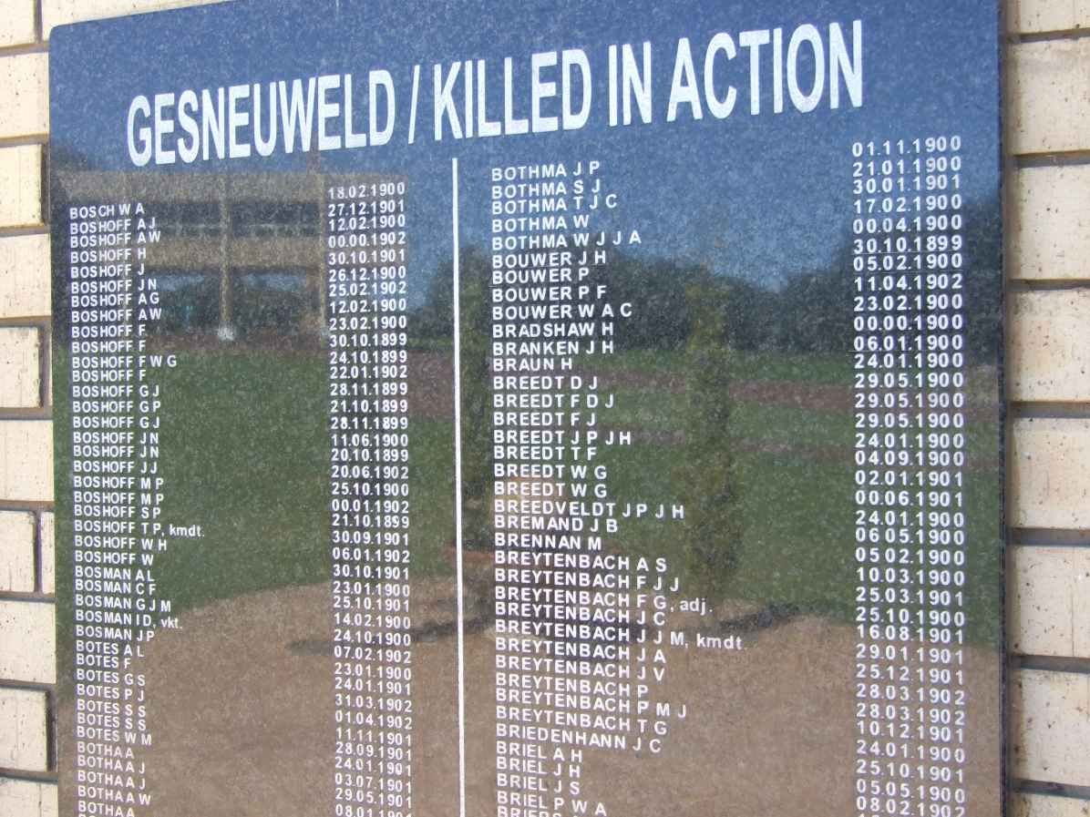 Killed in Action Panel_2a