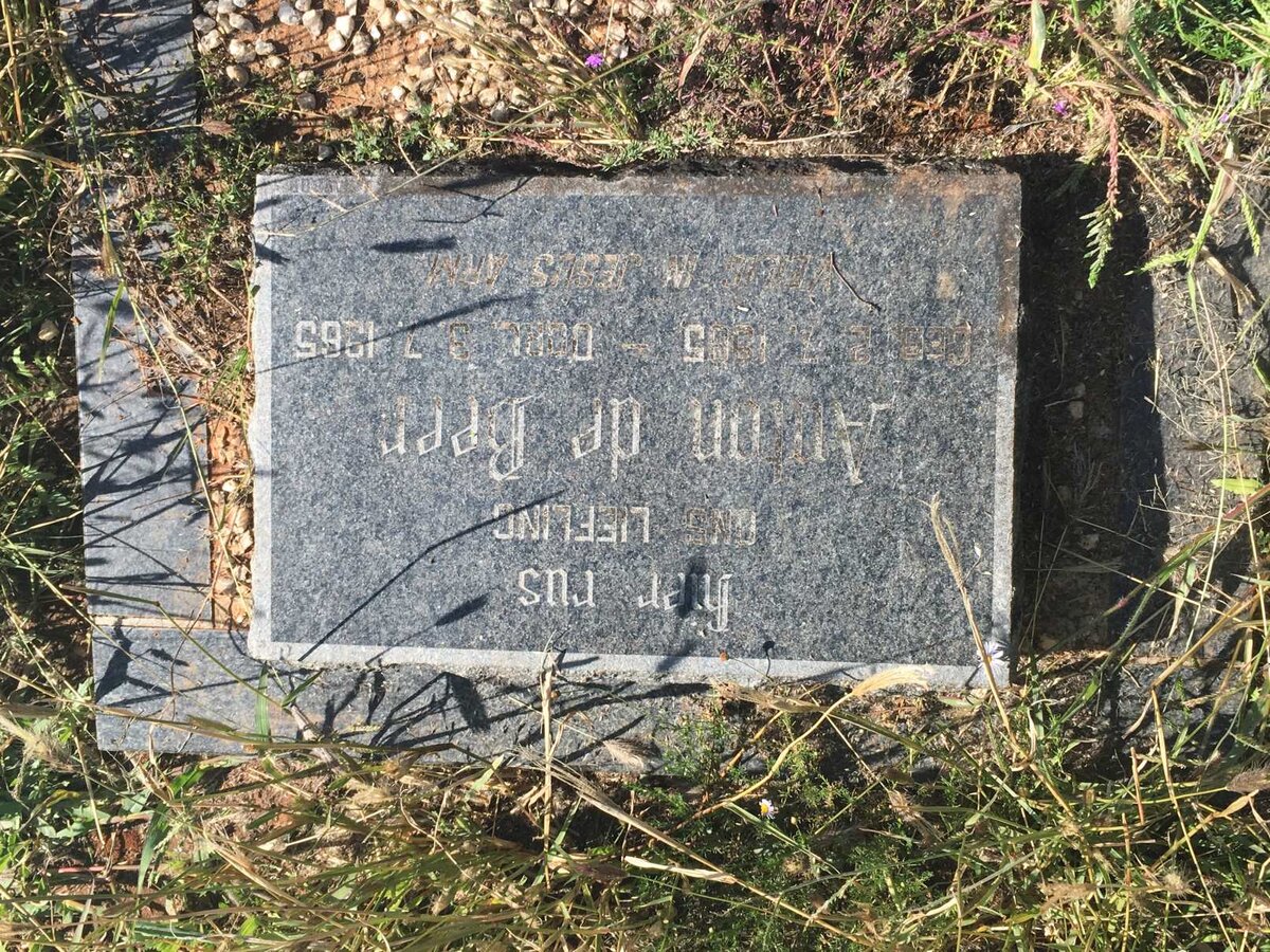 BEER Anton, de 1965-1965