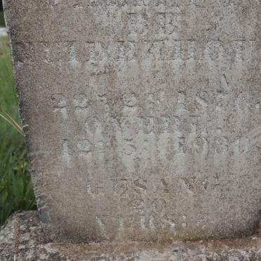 BEZUIDENHOUT Jacobus Philippus 1856-1930 