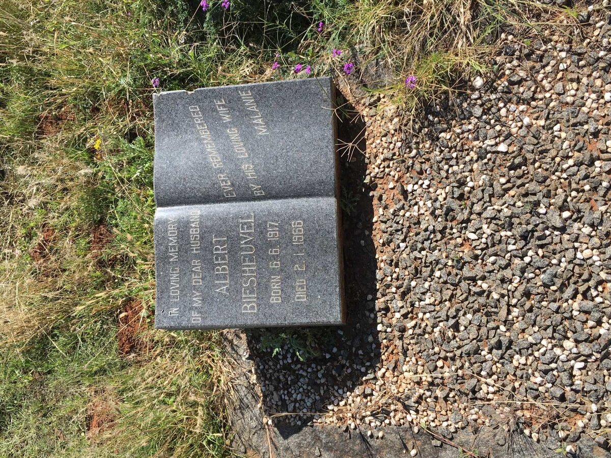 BIESHEUVEL Albert 1917-1966