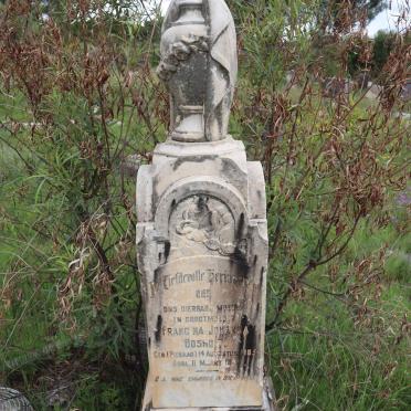 BOSHOFF Francina Johanna nee PIENAAR 1885-1947