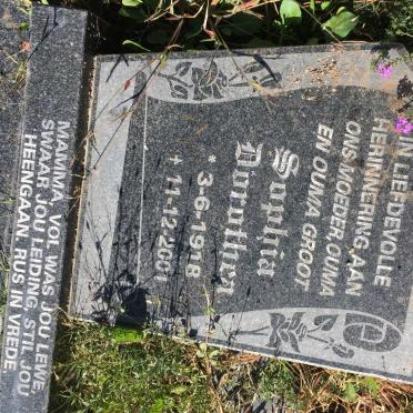 COETZEE Anton 1952-1988