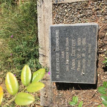 COETZEE Anna 1899-1966