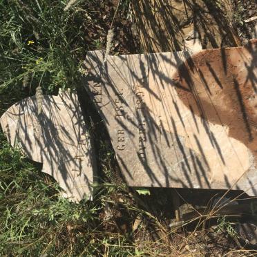 ENSLIN J.A. 1851-1897