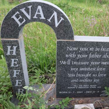 HEFER Evan 2001-2002