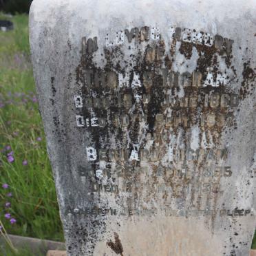 INGRAM Thomas 1860-1937 :: INGRAM Bernard 1895-1938