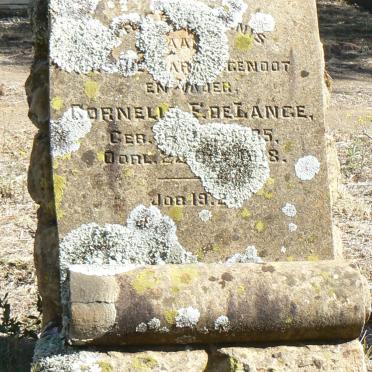 LANGE Cornelis Francois, de 1885-1918