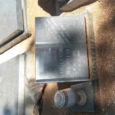 MOSTERT Izabella Maria Magdalena nee DIEDERICHS 1907-1988