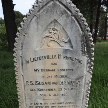 MERWE P.S., van der nee KOEKEMOER 1890-1930