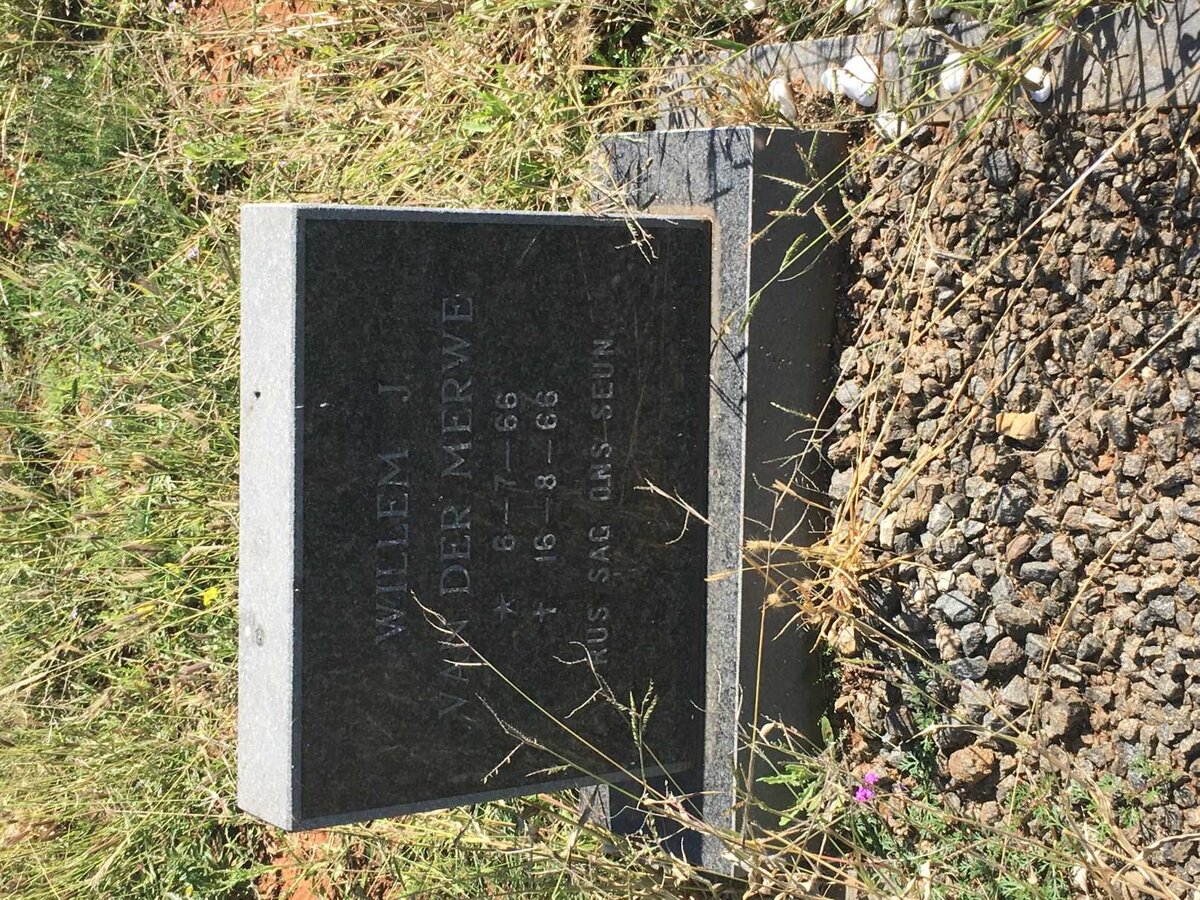 MERWE Willem J., van der 1966-1966