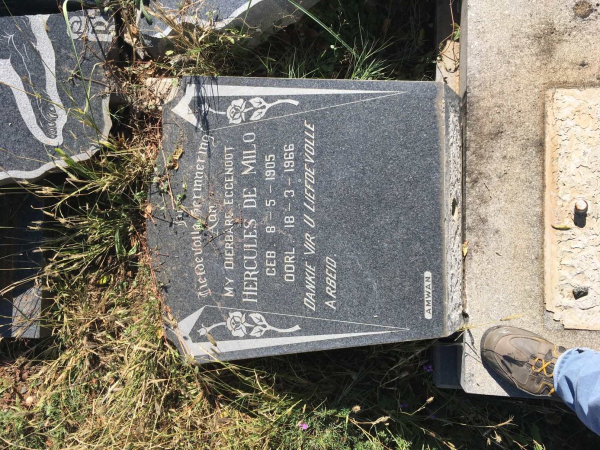 MILO Hercules, de 1905-1966 &amp; Eastlynne Morova VAN ZYL 1921-2001