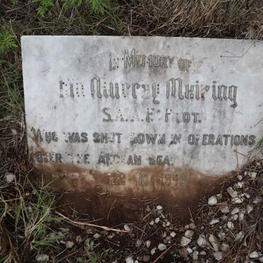 MEIRING Ian Murray -1943